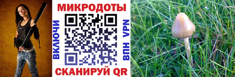 Псилоцибиновые грибы GOLDEN TEACHER  магазин продажи   Ишимбай 